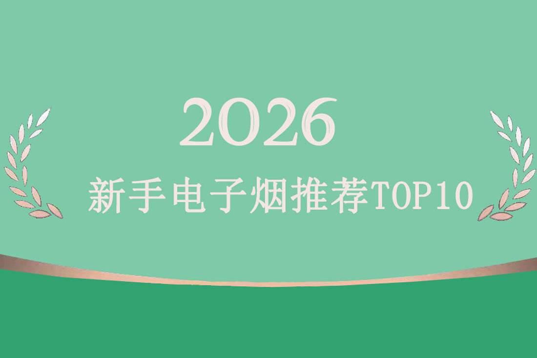 2026新手电子烟推荐TOP10