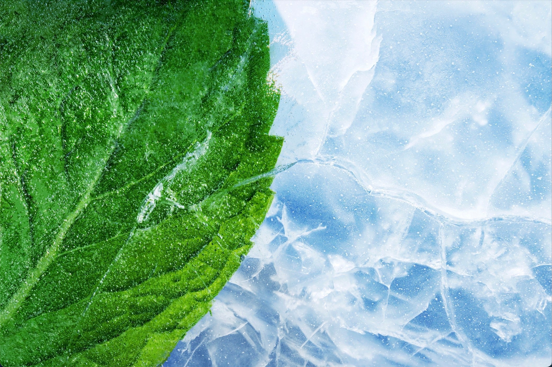 悦刻RELX正品外贸弹|新薄荷Menthol Xtra 口味|单颗装 3颗起售