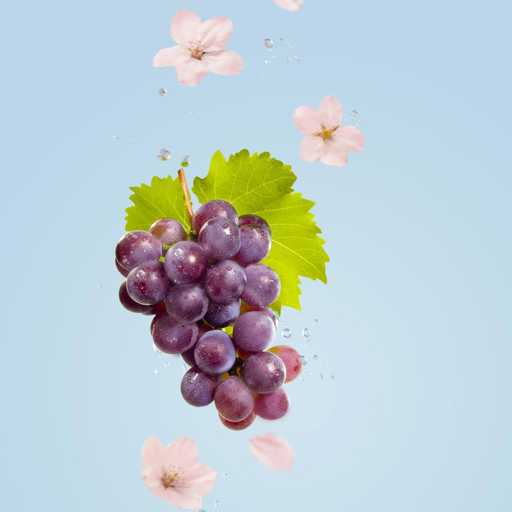 悦刻RELX正品五代外贸弹RELX Pod Real | 樱花葡萄Sakura Grape口味 | 3颗装